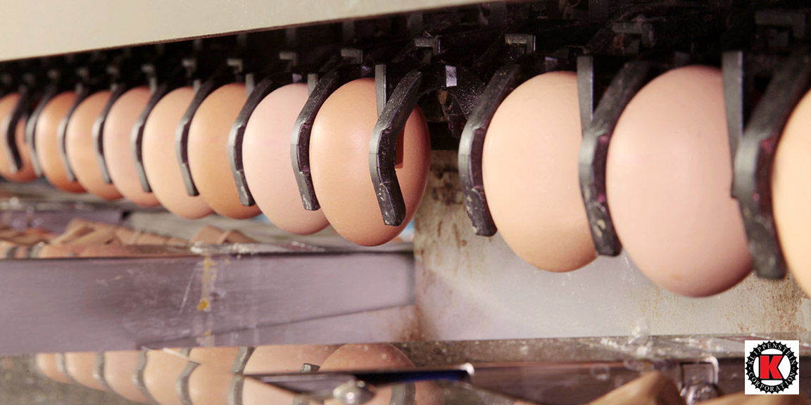 Egg Packing Machines